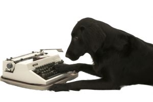 Black Dog, Typewriter